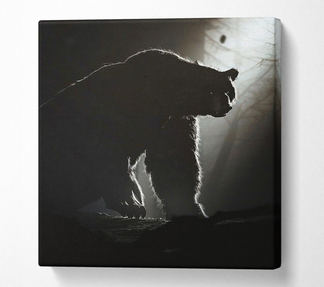 A Canvas Print of Black Bear'S Shadow Canvas Art
