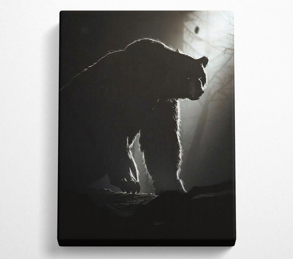  A Canvas Print of Black Bear'S Shadow Canvas Art