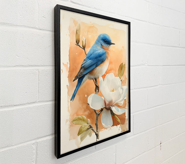 Orange Bloom Bluebird