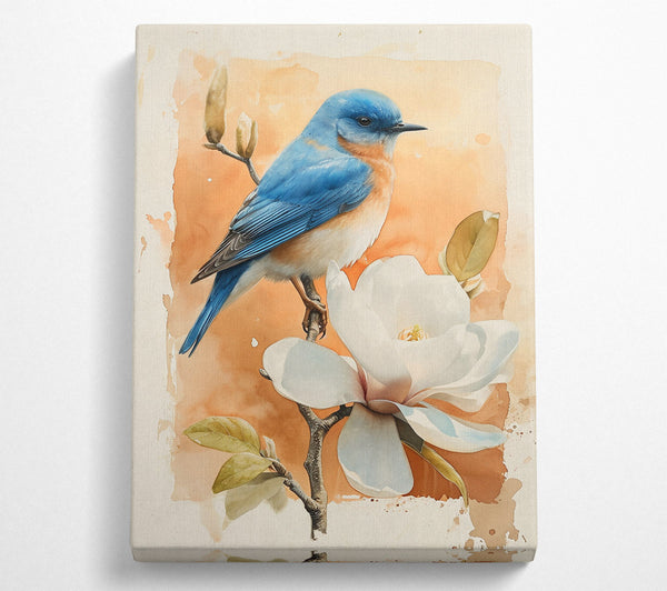  A Canvas Print of Orange Bloom Bluebird Canvas Art
