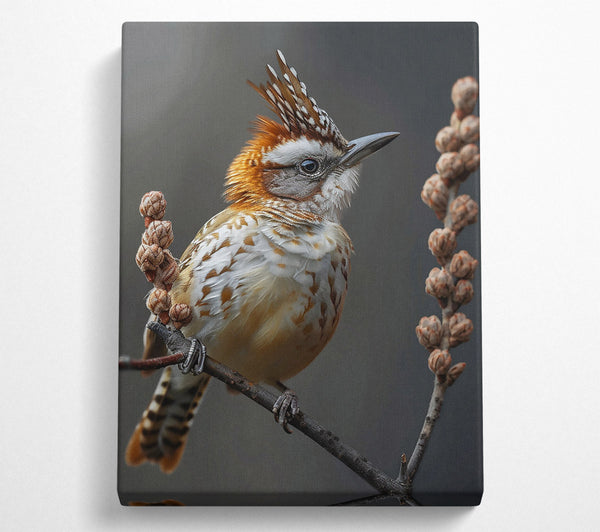  A Canvas Print of Russet Crowned Perched Canvas Print