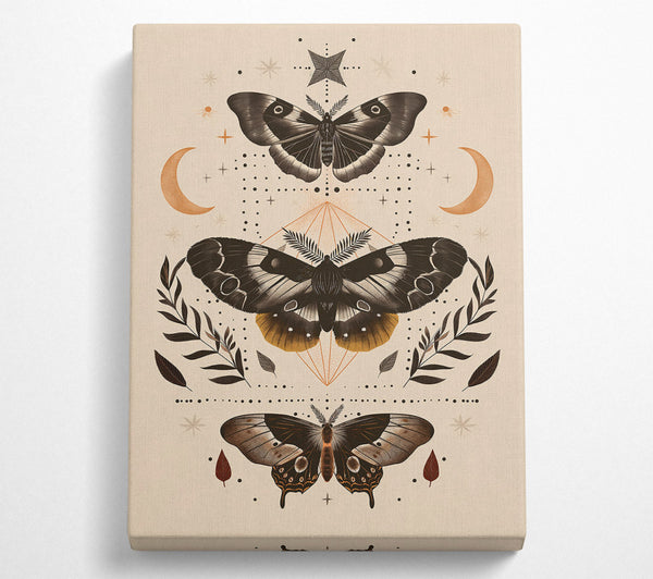  A Canvas Print of Golden Moth Mandala Canvas Art