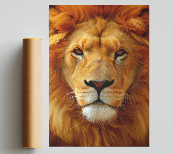 Golden Lion Gaze Giclee Print