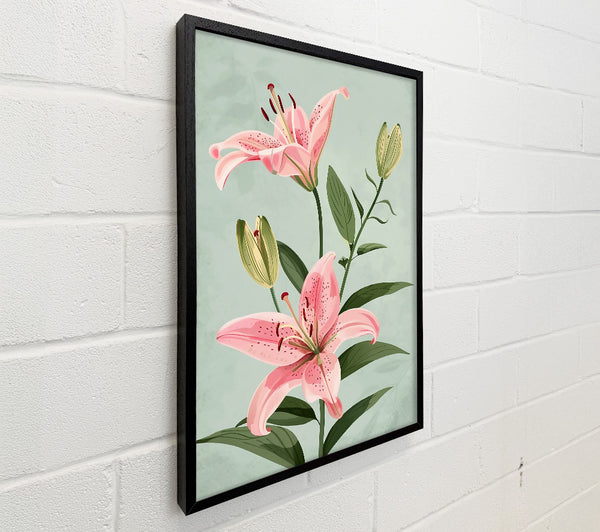 Pink Lily Bloom