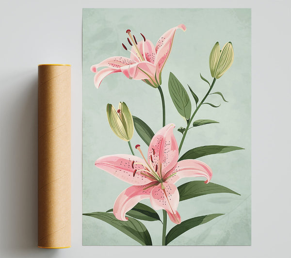 Pink Lily Bloom Poster