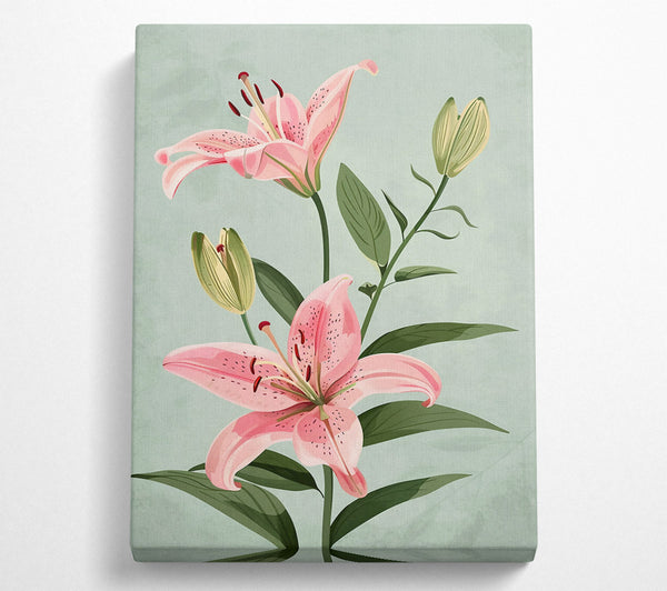  A Canvas Print of Pink Lily Bloom Canvas Art