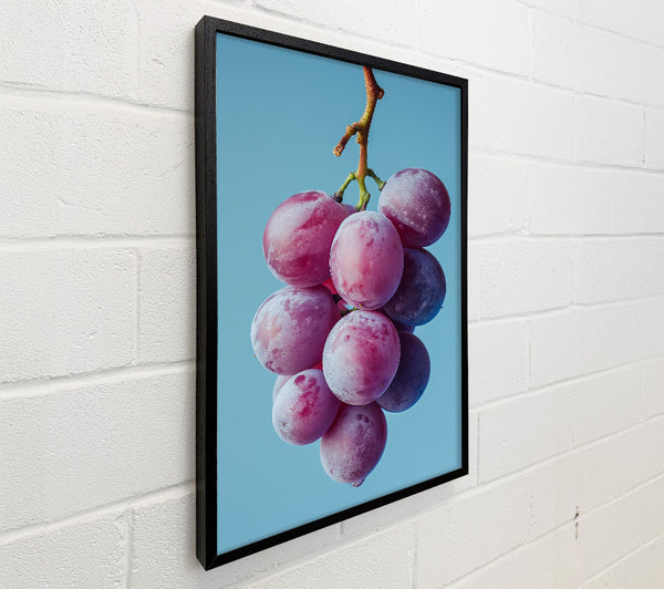 Crimson Grape Cluster