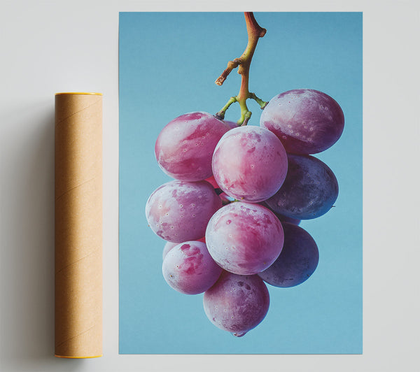 Crimson Grape Cluster Poster