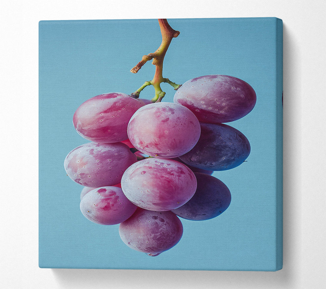  A Canvas Print of Crimson Grape Cluster Canvas Wall Art