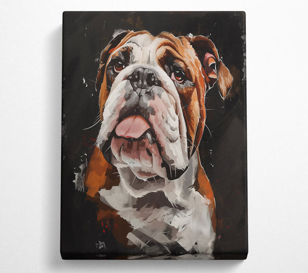  A Canvas Print of Brown Bulldog Gaze Canvas Print