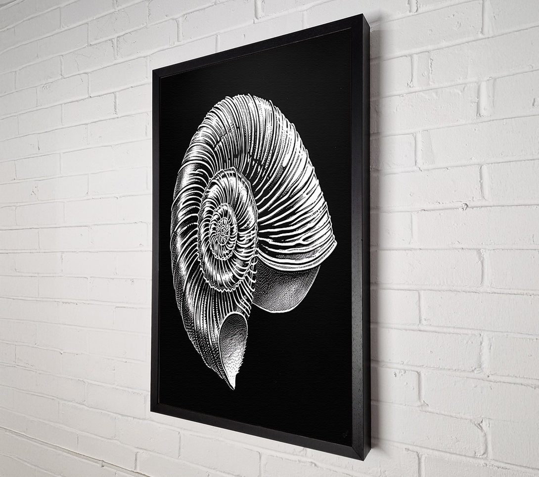  A Canvas Print of White Spiral Shell Canvas Wall Art