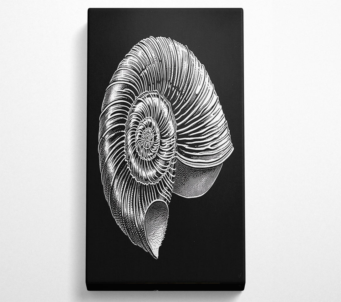  A Canvas Print of White Spiral Shell Canvas Wall Art