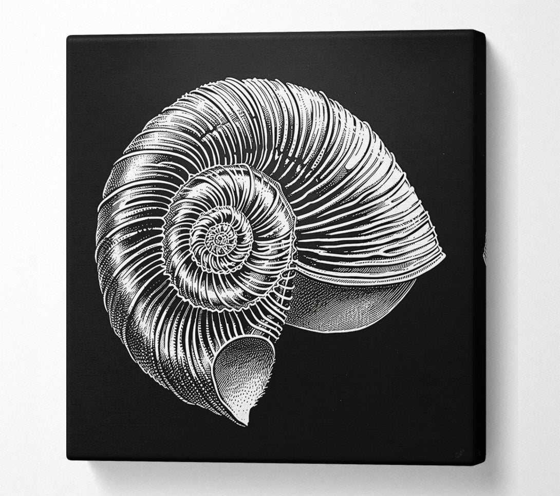  A Canvas Print of White Spiral Shell Canvas Wall Art