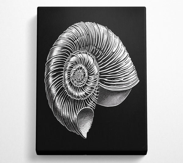  A Canvas Print of White Spiral Shell Canvas Wall Art