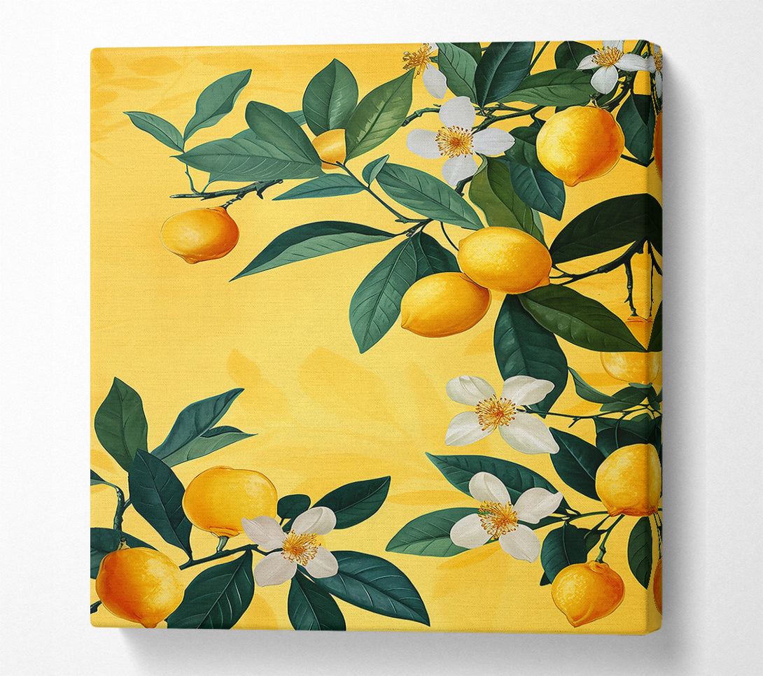  A Canvas Print of Golden Lemon Blossoms Canvas Art
