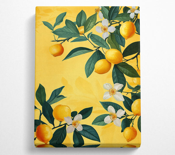  A Canvas Print of Golden Lemon Blossoms Canvas Art