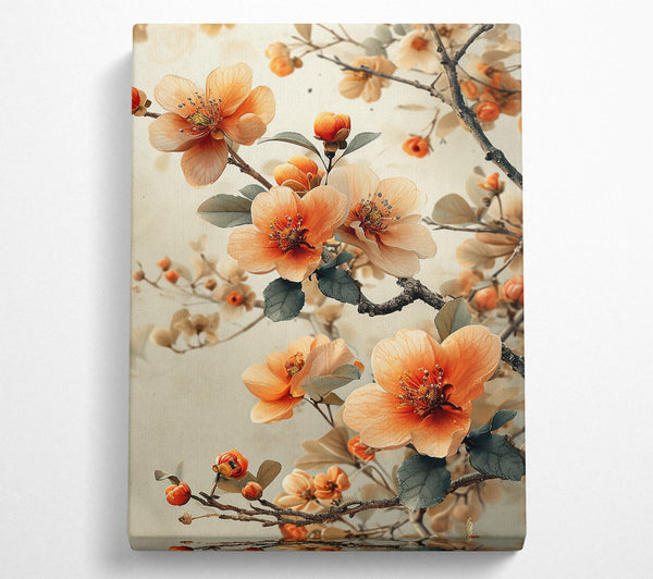 A Canvas Print of Peach Blossom Bloom Canvas Print