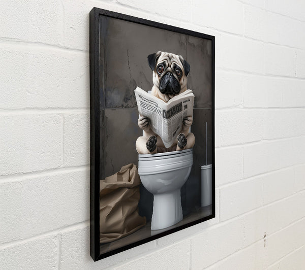Gray Toilet Time