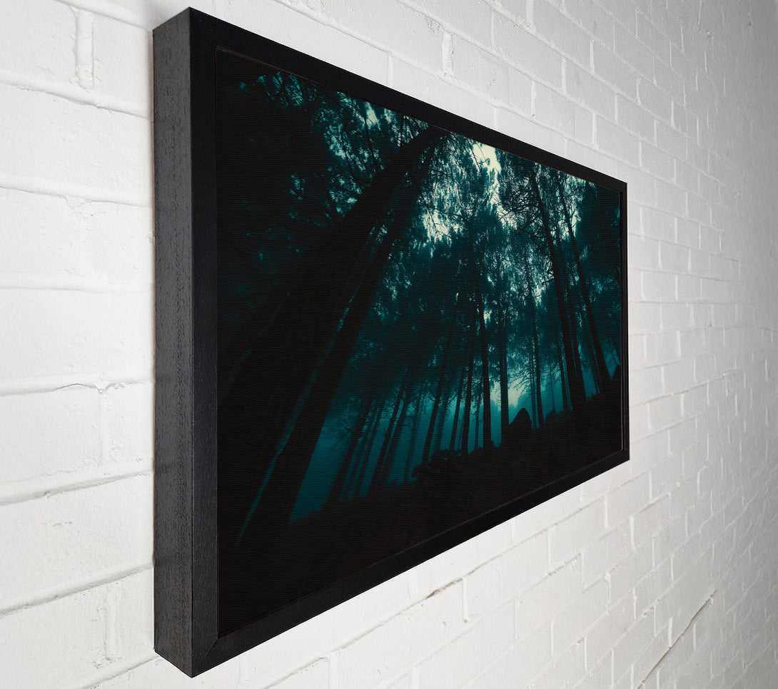  A Canvas Print of Teal Forest Shadows Canvas Art
