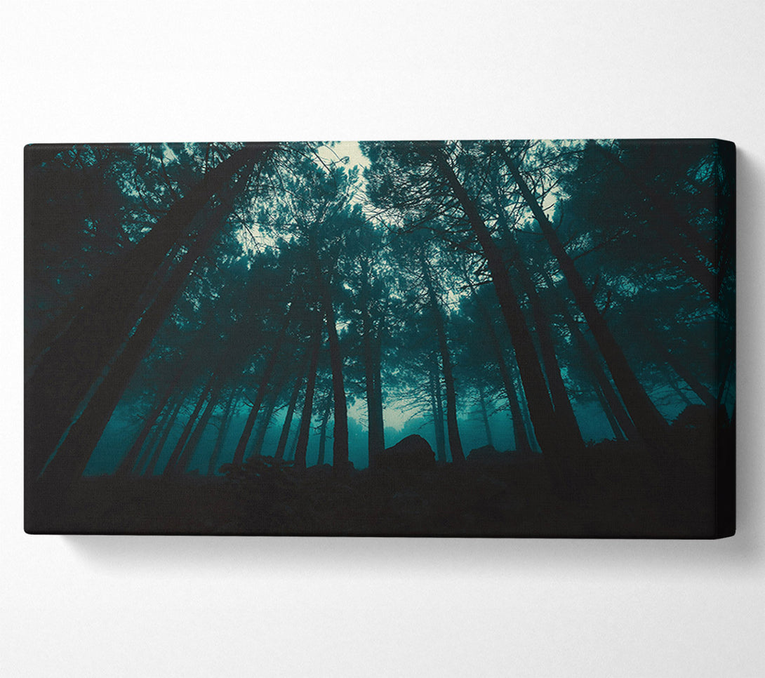  A Canvas Print of Teal Forest Shadows Canvas Art
