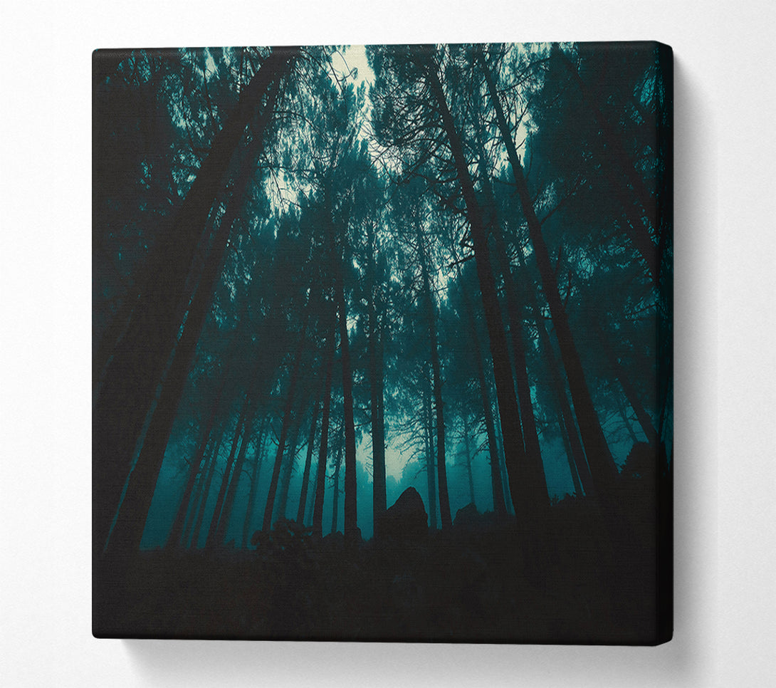  A Canvas Print of Teal Forest Shadows Canvas Art