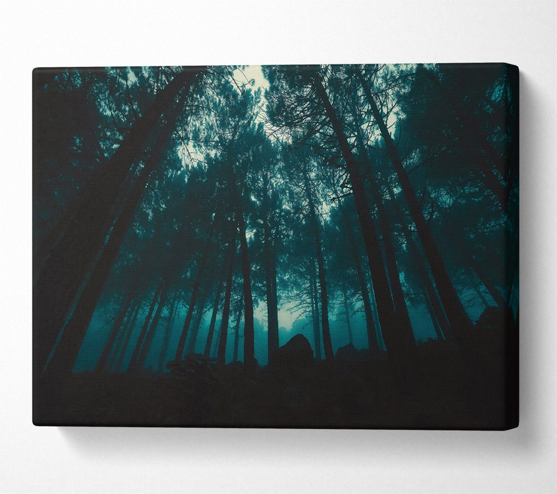  A Canvas Print of Teal Forest Shadows Canvas Art