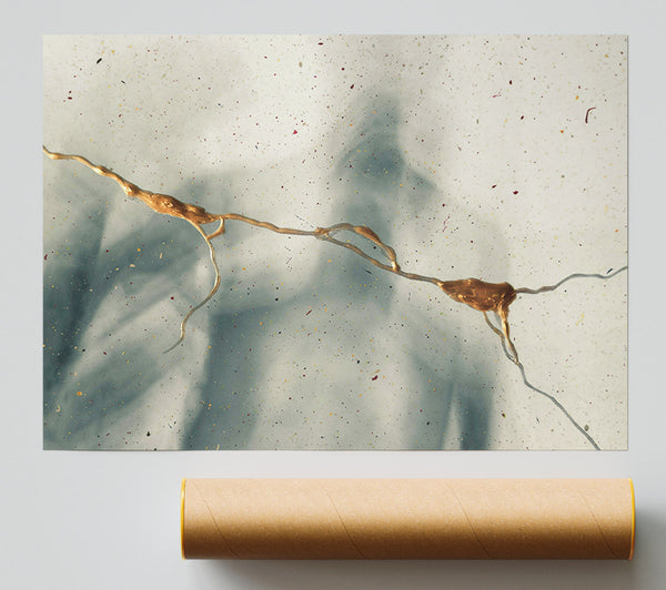 Golden Branch Reflections Print