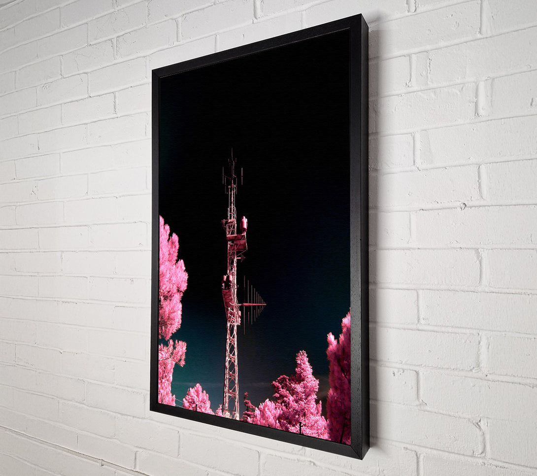  A Canvas Print of Pink Antenna Forest Canvas Wall Art