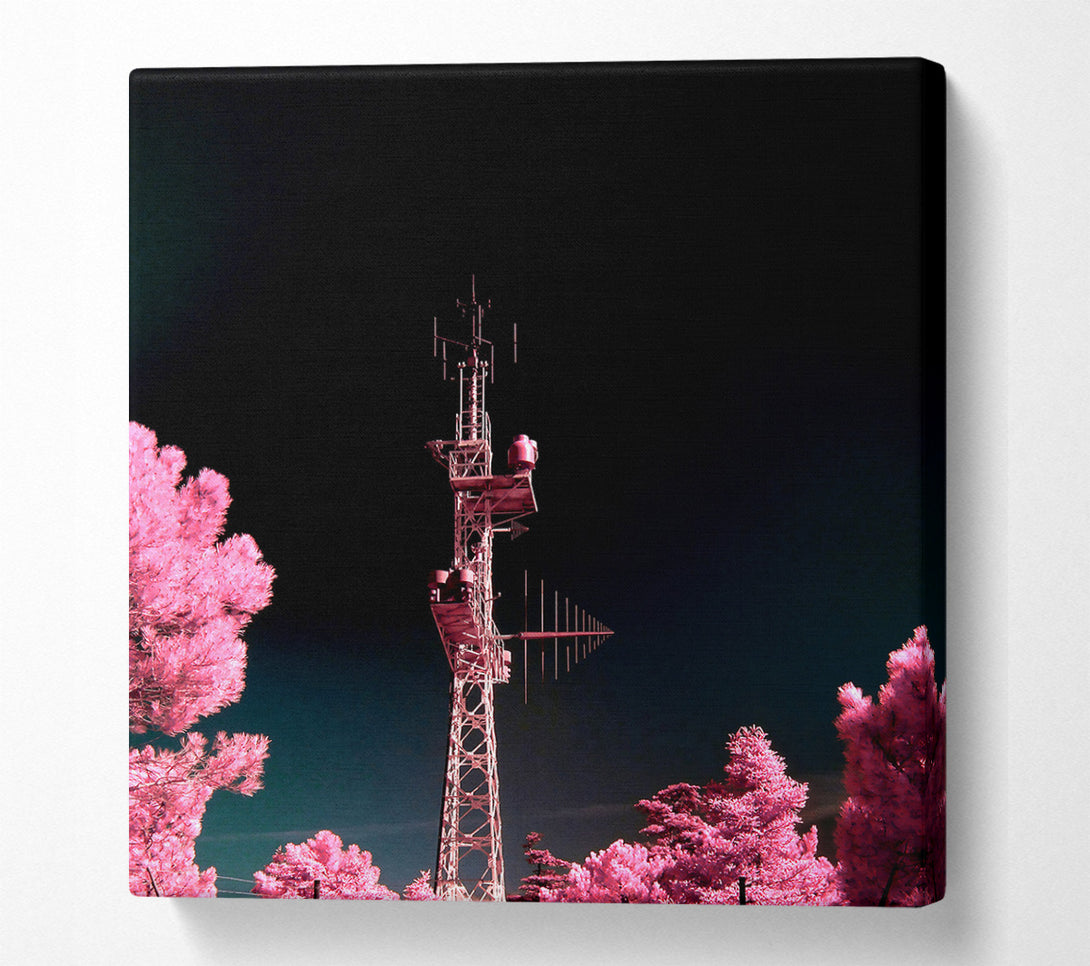  A Canvas Print of Pink Antenna Forest Canvas Wall Art
