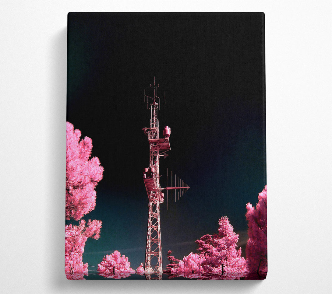  A Canvas Print of Pink Antenna Forest Canvas Wall Art