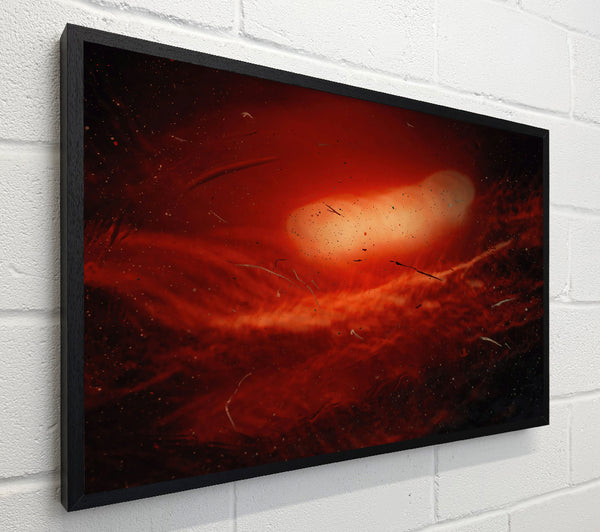 Crimson Nebula Dreams