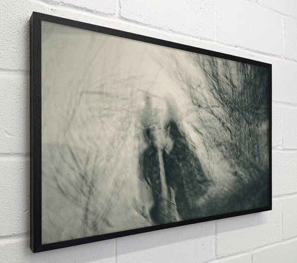 Gray Foggy Forms