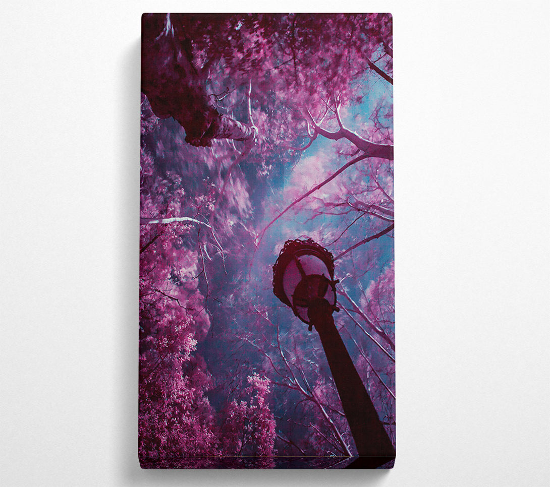  A Canvas Print of Crimson Canopy Light Canvas Wall Art