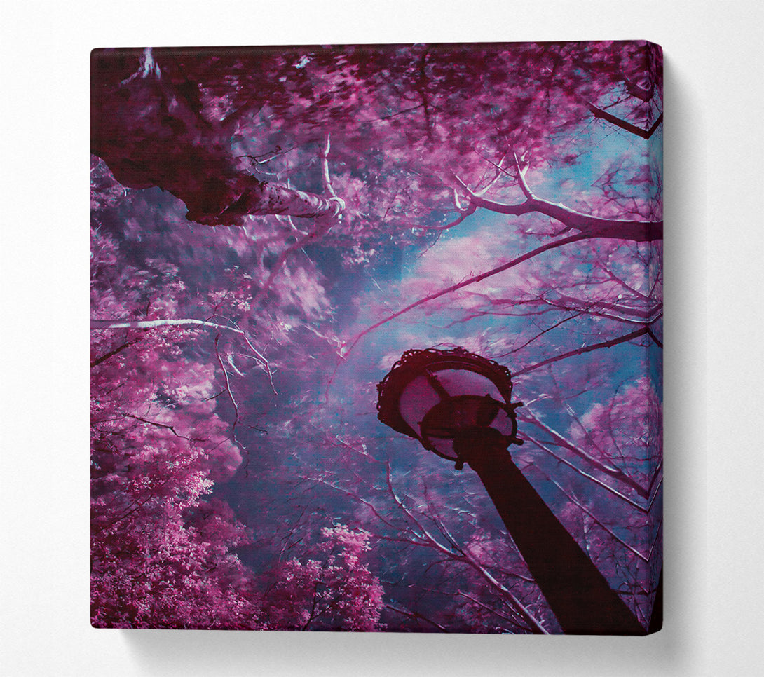 A Canvas Print of Crimson Canopy Light Canvas Wall Art