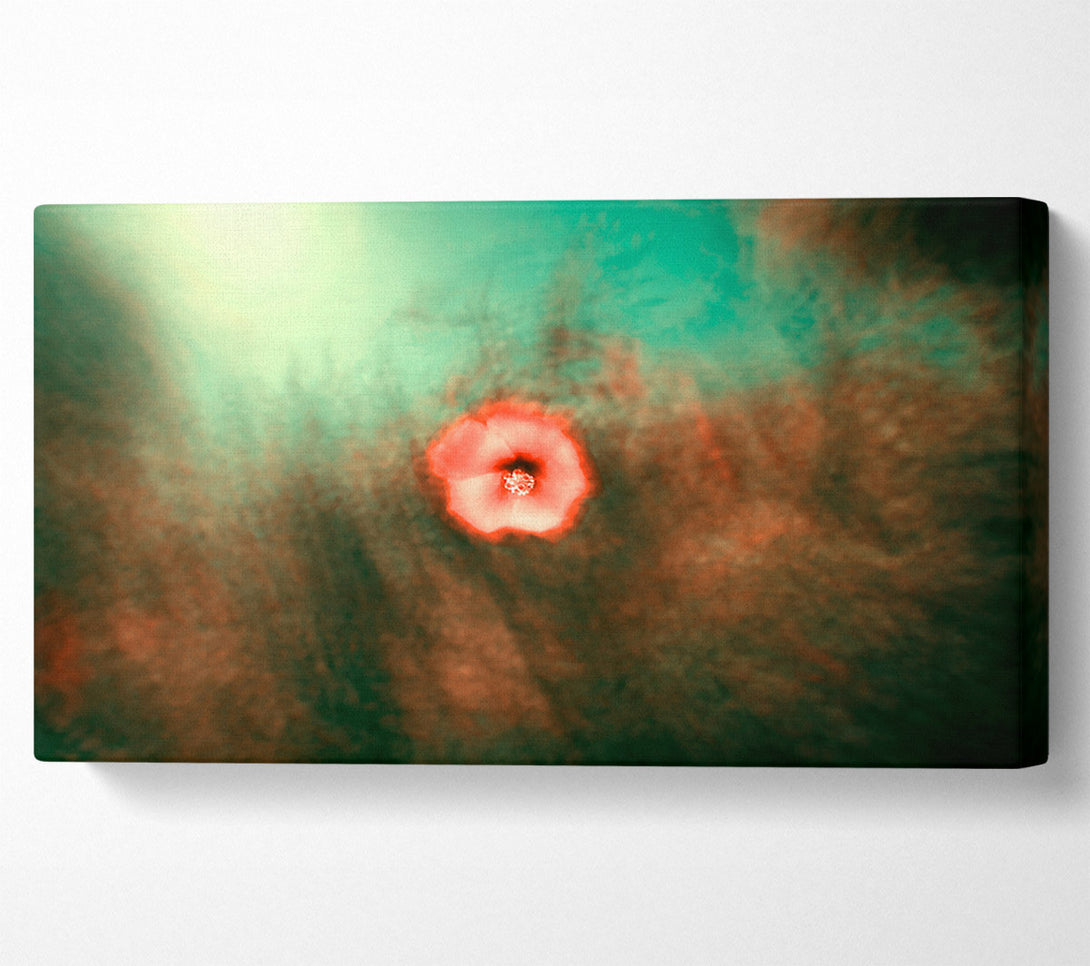  A Canvas Print of Crimson Bloom In Mist Canvas Art