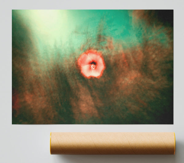 Crimson Bloom In Mist Giclee Print
