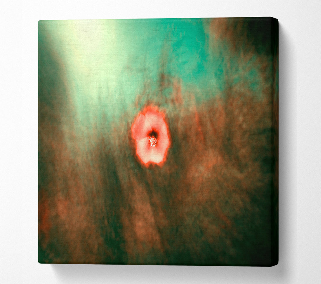  A Canvas Print of Crimson Bloom In Mist Canvas Art