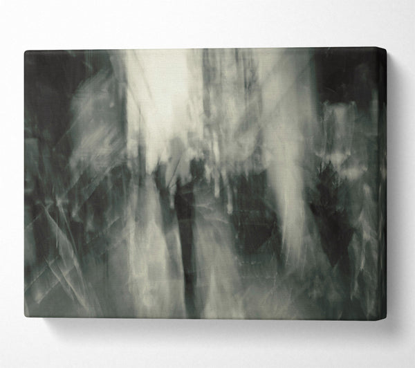  A Canvas Print of Silvery Shadow Dance Canvas Wall Art