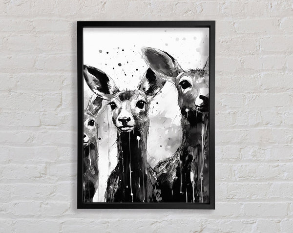 Kangaroo Black And White Framed Print
