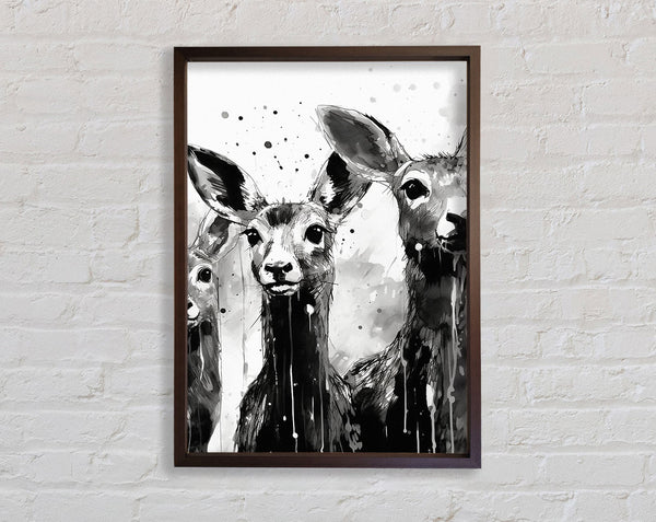 Kangaroo Walnut And Walnut Framed Print