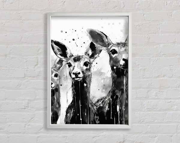 Kangaroo White And White Framed Print