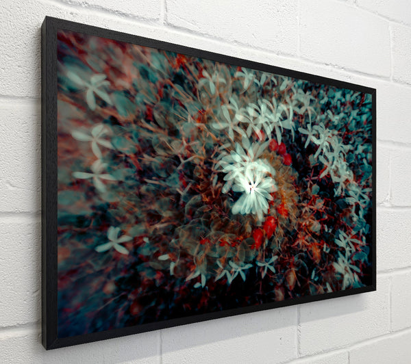 Teal Bloom Dream