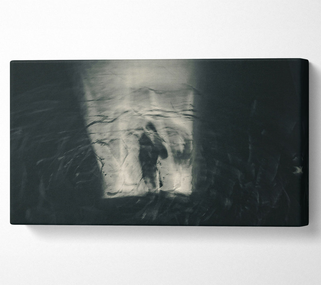  A Canvas Print of Silver Water'S Embrace Canvas Art