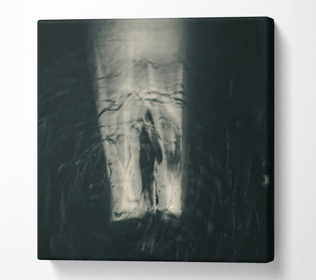  A Canvas Print of Silver Water'S Embrace Canvas Art
