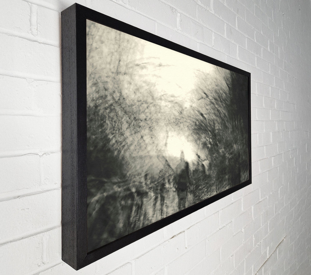  A Canvas Print of White Light Through Dark Trees Canvas Wall Art