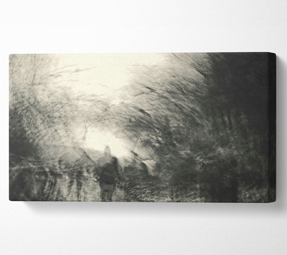  A Canvas Print of White Light Through Dark Trees Canvas Wall Art