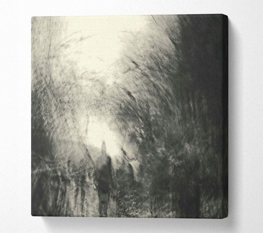  A Canvas Print of White Light Through Dark Trees Canvas Wall Art