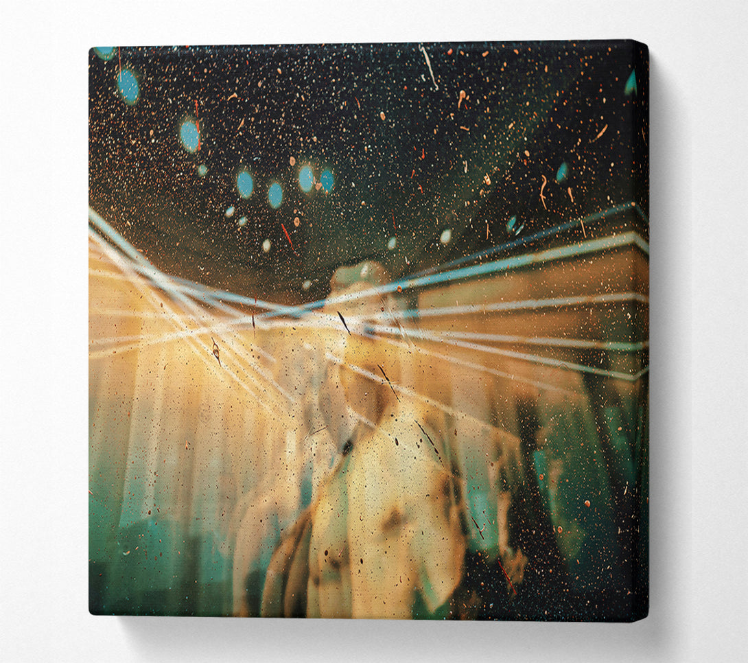  A Canvas Print of Golden Through Glass Canvas Art