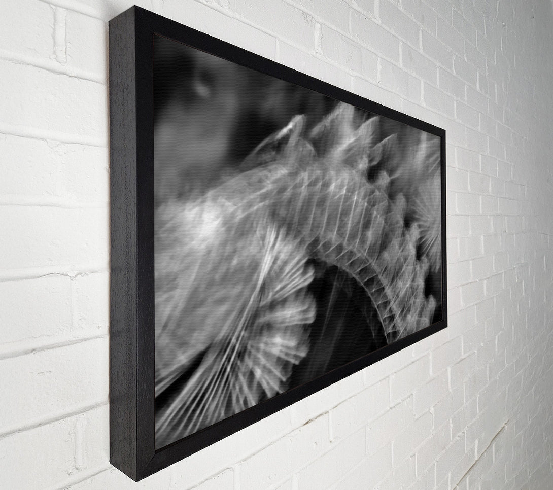  A Canvas Print of White Feather Fade Canvas Wall Art