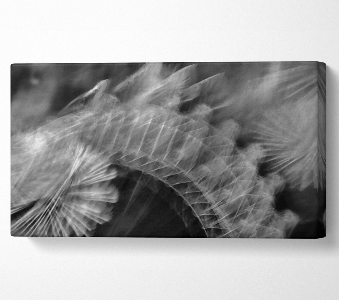 A Canvas Print of White Feather Fade Canvas Wall Art